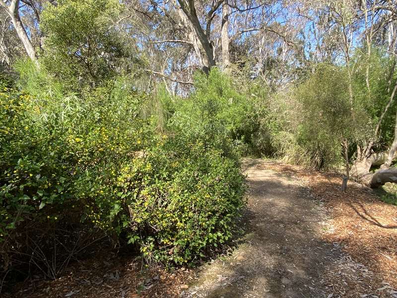 Tallarook Arboretum