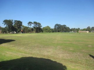 Tally Ho Reserve Dog Off Leash Area (Mount Waverley)