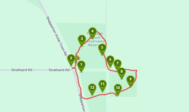 Tamleugh - Box Woodland Walk