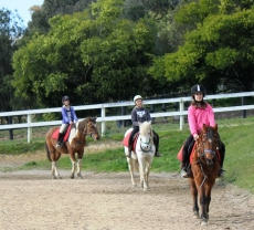 Tandivale Equestrian Centre (Warrandyte)