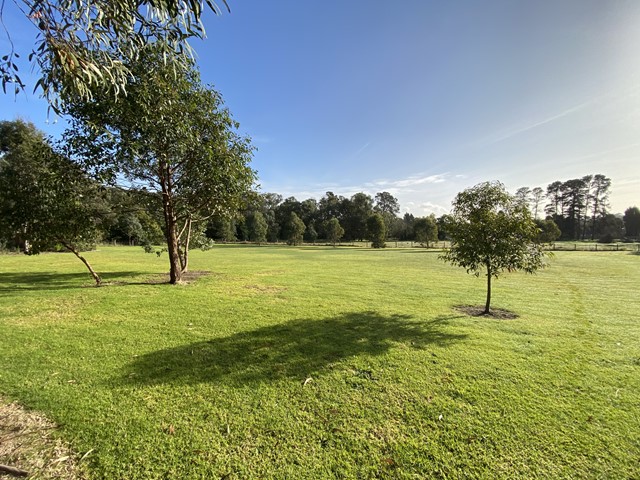 Tara Court Dog Off Leash Area (Wantirna)