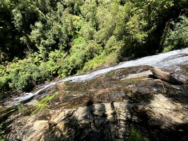Tarra Valley - Tarra Falls