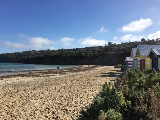 Tassells Cove Beach Dog Off Leash Area (Safety Beach)