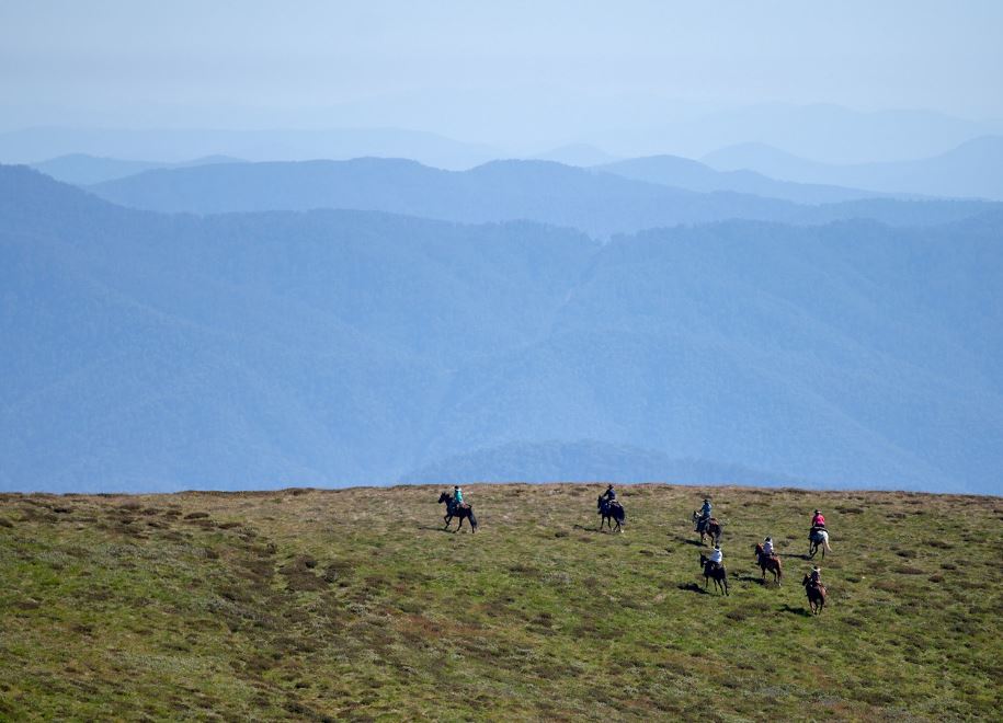 Tawonga - Bogong Horseback Adventures (Spring Spur)