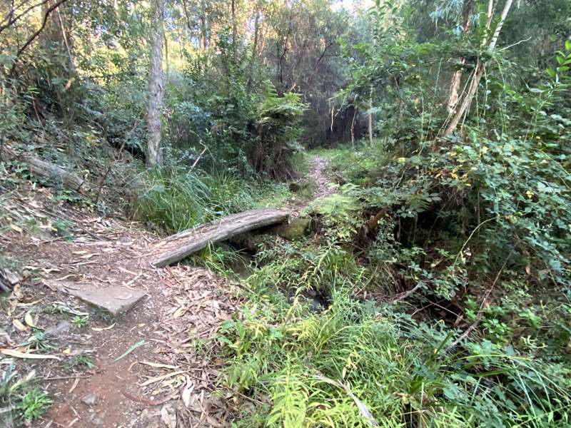 Tawonga South - Junction Creek Nature Walk