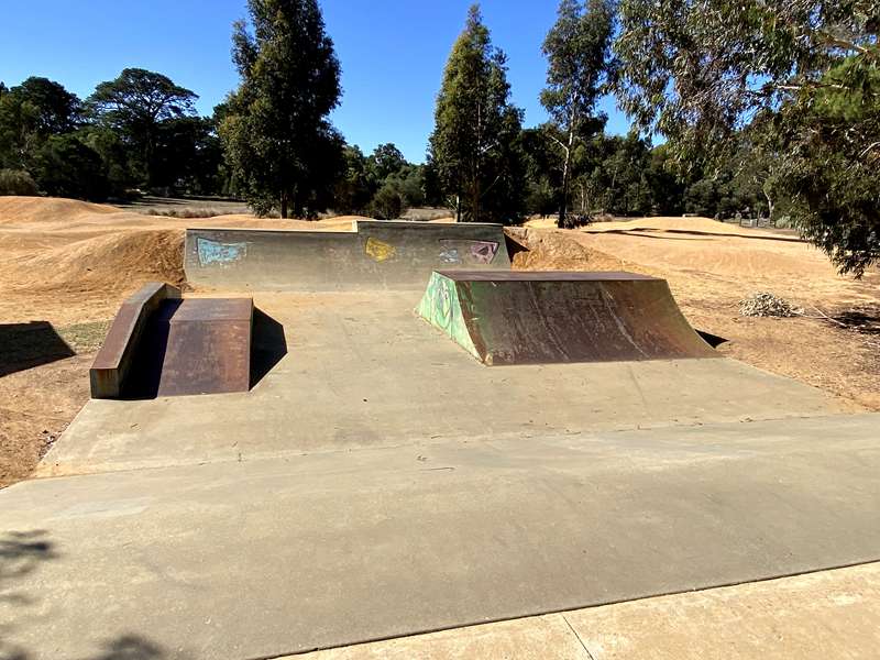 Teesdale Skatepark