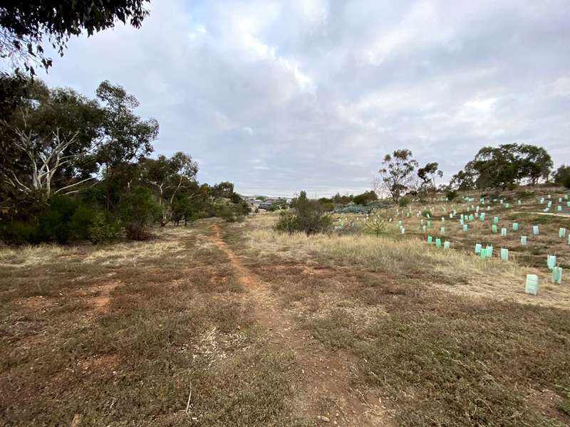 Telford Park Dog Off Leash Area (Darley)