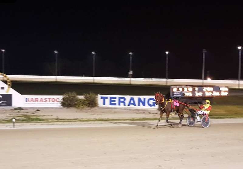 Terang Harness Racing Club