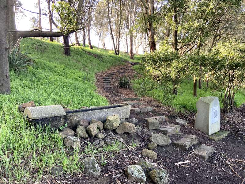 Terang Lions Walk Track