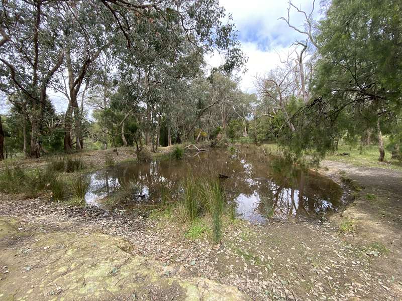 The 100 Acres Walk (Park Orchards)