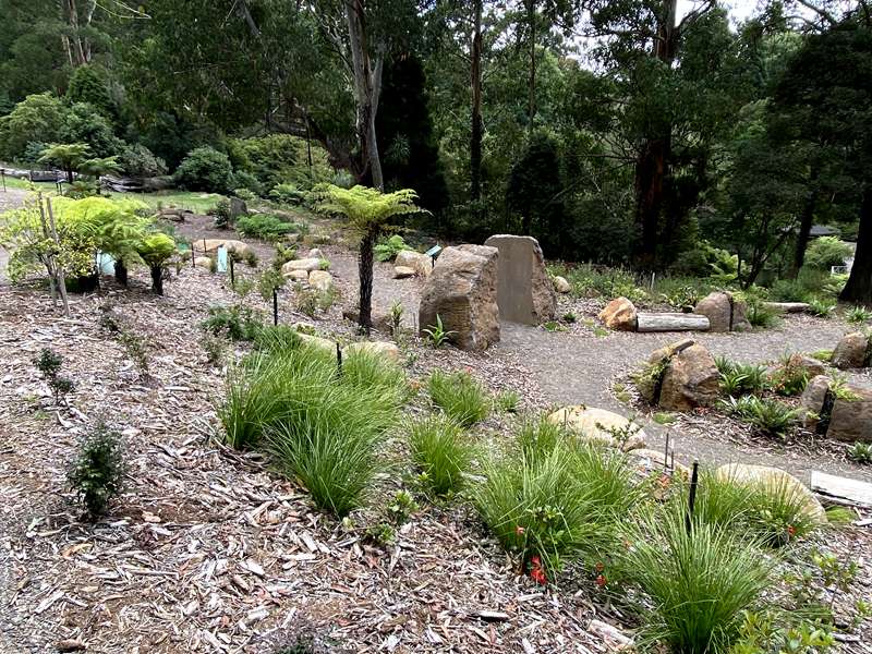 The Australian Cloud Forest Collection