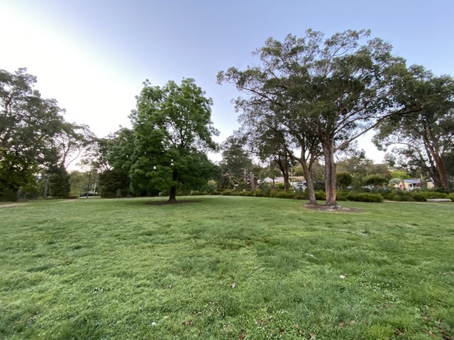 The Basin Reserve Dog Off Leash Area (The Basin)