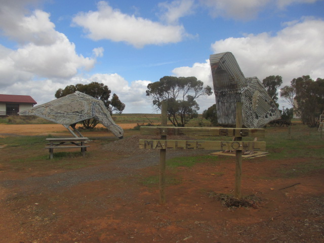 The Big Mallee Fowl