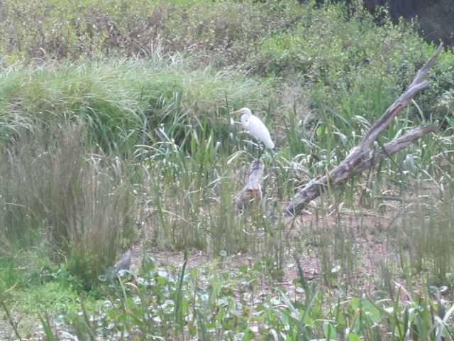 The Briars Park (Mount Martha)