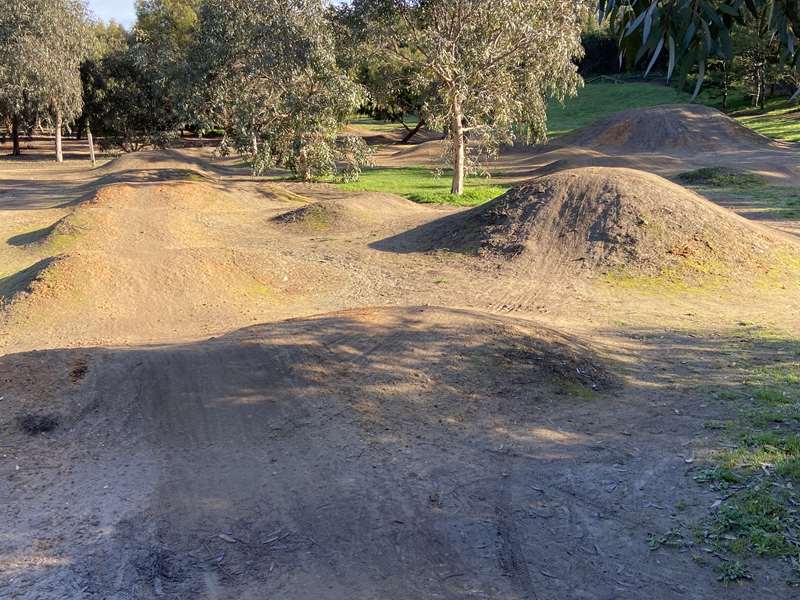 The Hill Mountain Bike Park (Newtown)