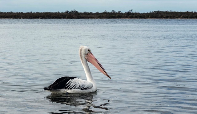 The Lakes National Park