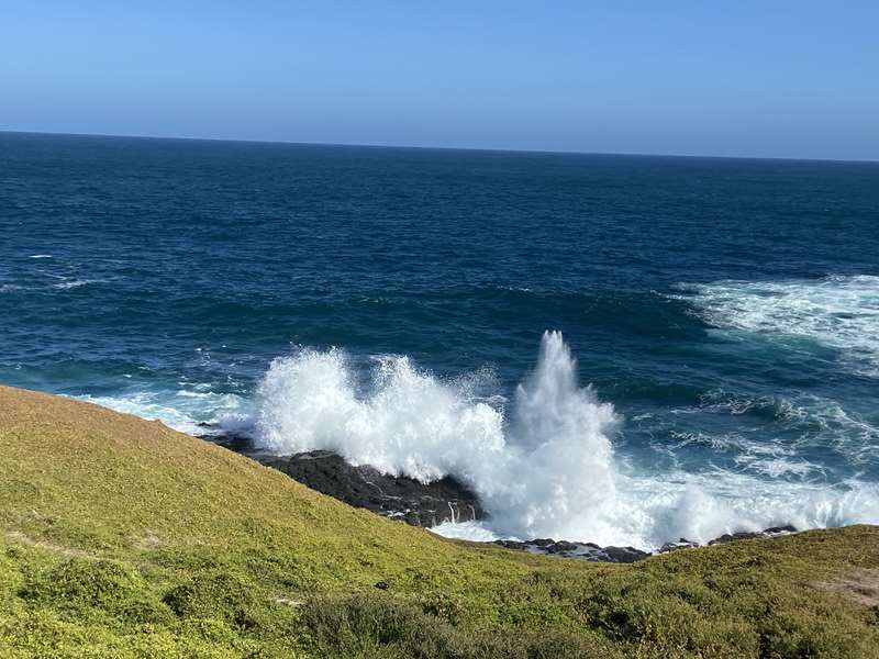 The Nobbies (Phillip Island)