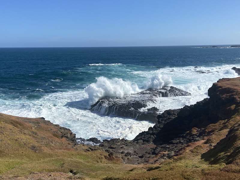 The Nobbies (Phillip Island)