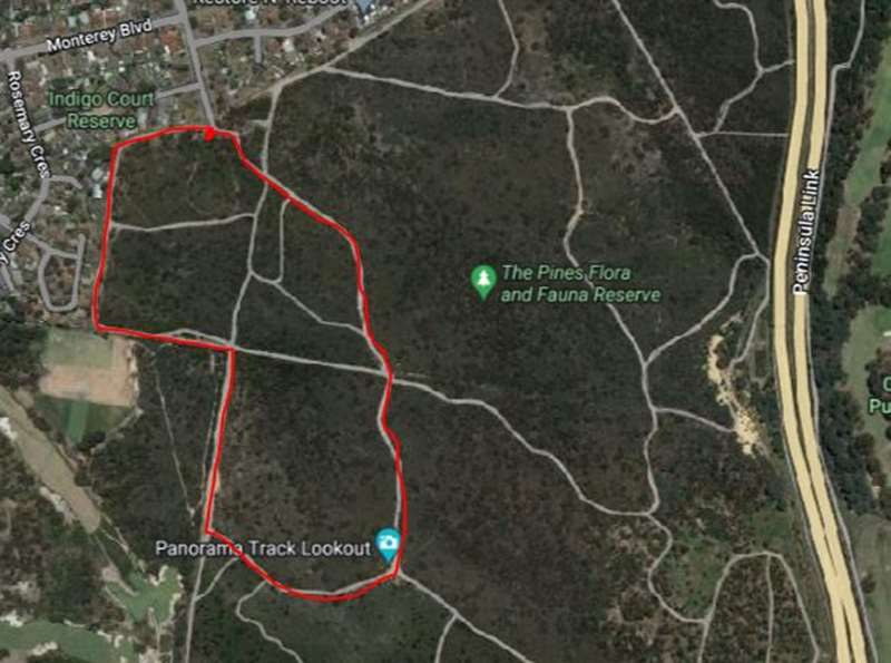 The Pines Flora and Fauna Reserve (Frankston North)