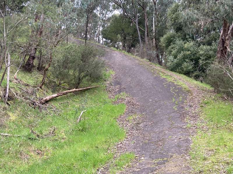 The Templestowe Hill Climb Walk (Doncaster East)