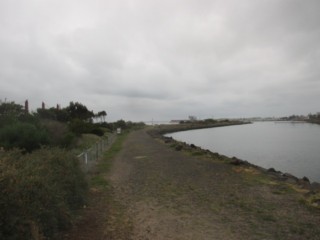 The Warmies Dog Off Leash Area (Newport)