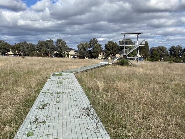 Themeda Grasslands (Caroline Springs)