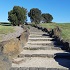 View Event: The 100 Steps of Federation (Altona Meadows)