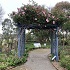 View Event: Alister Clark Memorial Rose Garden (Bulla)
