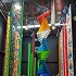 View Event: Clip N Climb (Williamstown)