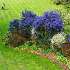 View Event: Cruden Farm (Langwarrin)