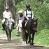 View Event: Dandenong Ranges Horse Trail Rides (Montrose)