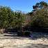 View Event: Daylesford - Wombat Flat Mineral Spring