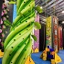 View Event: Funtopia (Carrum Downs)