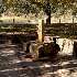 View Event: Glenlyon Mineral Spring