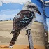 View Event: Goroke Art Silos