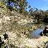 View Event: Hepburn Springs - Swiss-Italian Heritage Walk