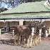 View Event: Jeparit Heritage Walk