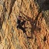 View Event: Melbourne Climbing School