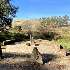 View Event: Porcupine Ridge - Woolnoughs Crossing Mineral Spring