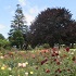 View Event: Portland Botanic Gardens