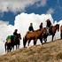 View Event: Tawonga - Bogong Horseback Adventures (Spring Spur)