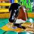 View Event: The PlayZone Adult Activity Venue (South Yarra)