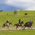 View Event: Upper Plenty - Uncle Nevs Trail Rides