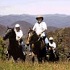 View Event: Boorolite - Watsons Mountain Country Trail Rides