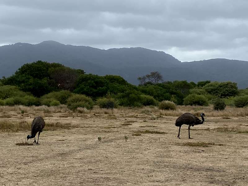 Tidal River - Wilsons Promontory National Park