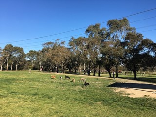 Tirhatuan Park Fenced Dog Park (Dandenong North)