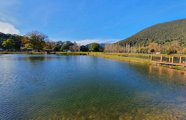 Tommy Finns Trout Farm (Warburton)