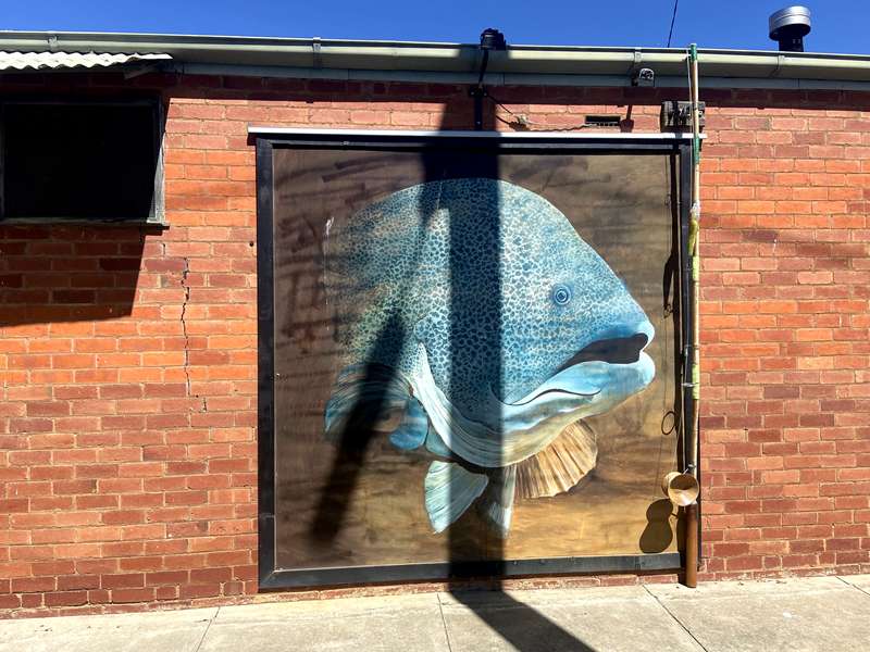 Tongala Street Art