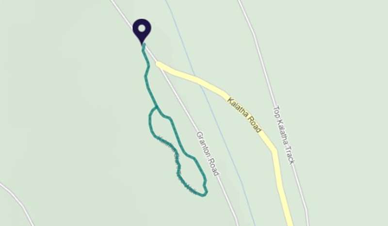 Toolangi - Kalatha Giant Tree Walk Map