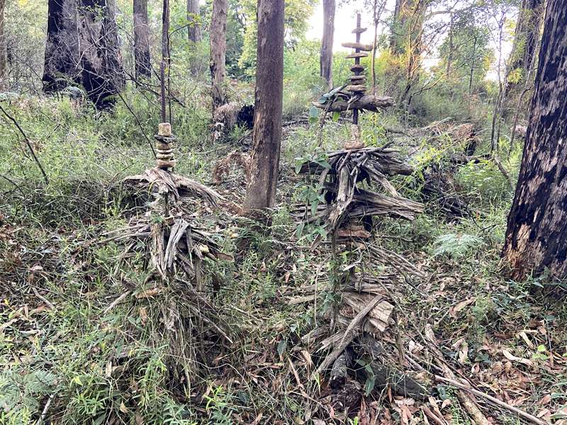 Toolangi Sculpture Trail (Toolangi)